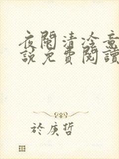 夜阑清冷意欢小说免费阅读