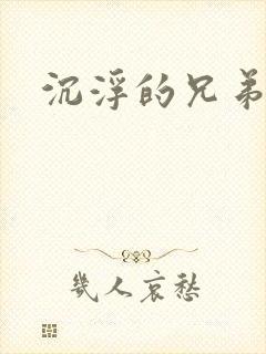 沉浮的兄弟封面