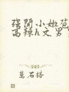 强开小嫩苞h文高辣h文男男封面