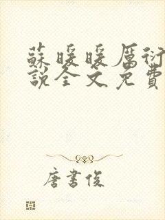 苏暖暖厉衍琛小说全文免费阅读