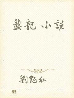盘龙 小说