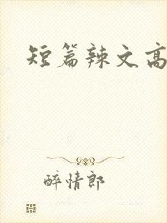 短篇辣文高h