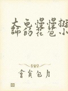 大龟慢慢挺进老师的花苞小说封面