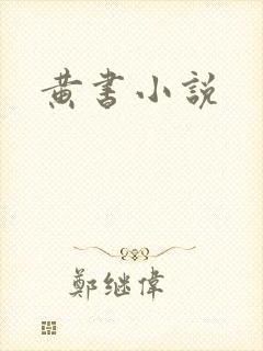 黄书小说