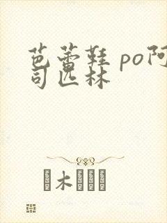 芭蕾鞋 po阿司匹林