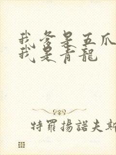 我爹是五爪金龙我是青龙