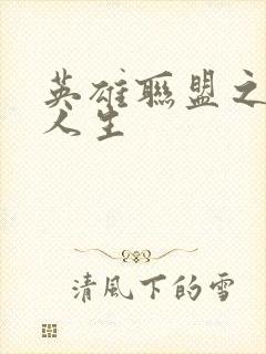 英雄联盟之职业人生封面