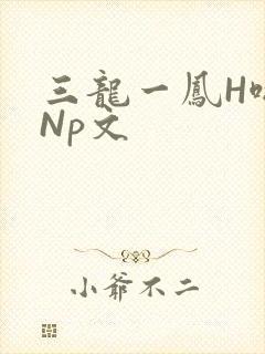 三龙一凤H啪肉Np文