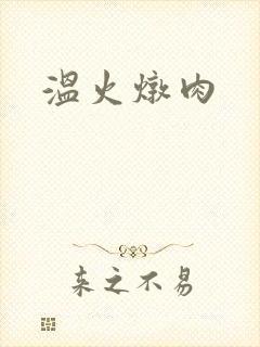 温火炖肉