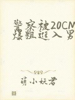 警察被20CM爆粗进入男男软件