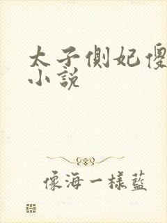 太子侧妃傻乎乎小说