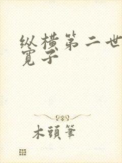 纵横第二世界 宽子