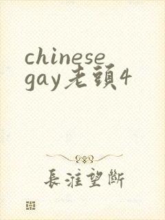 chinesegay老头4