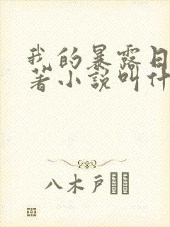 我的暴露日记原著小说叫什么