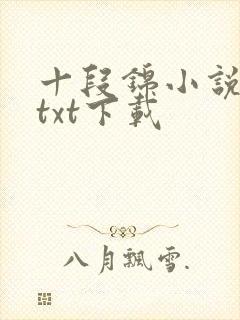 十段锦小说全本txt下载
