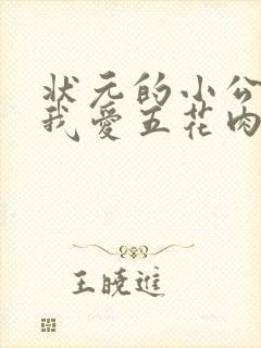 状元的小公主(我爱五花肉)封面