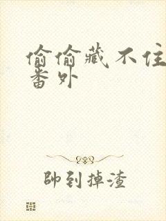 偷偷藏不住新婚番外