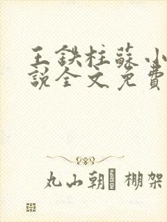 王铁柱苏小汐小说全文免费阅读最新章节