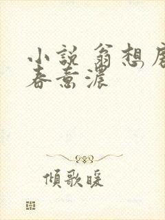 小说 翁想房中春意浓