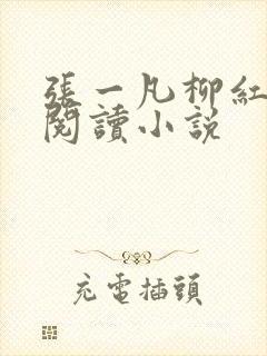 张一凡柳红免费阅读小说封面