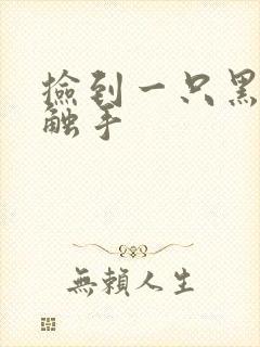 捡到一只黑心小触手