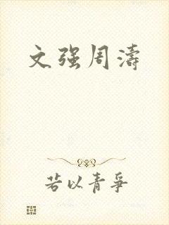 文强周涛