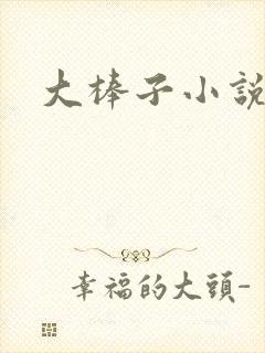 大棒子小说