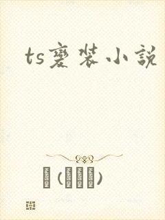 ts变装小说