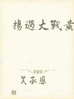 杨过大战黄蓉封面