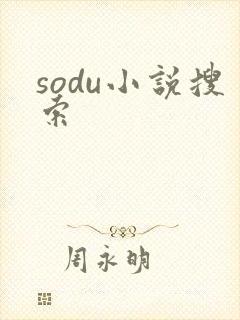 sodu小说搜索