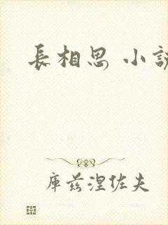 长相思 小说封面