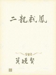 二龙戏凤