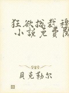 狂欲总裁穆非雪 小说免费阅读