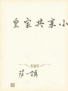 皇家共享小公主封面