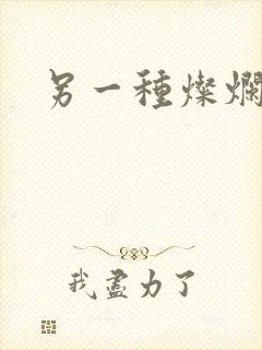 另一种灿烂生活