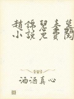 赵锦儿秦慕修的小说免费阅读全文