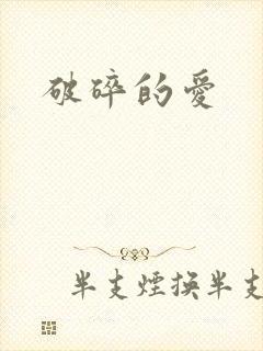 破碎的爱封面