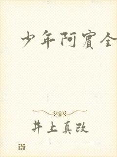 少年阿宾全集封面