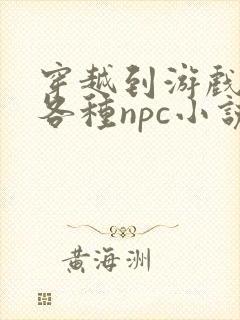 穿越到游戏里和各种npc小说