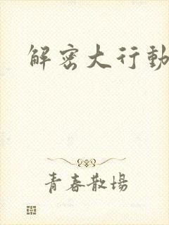 解密大行动