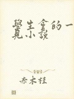 学生会的一己之见小说