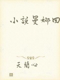 小说曼娜回忆录封面