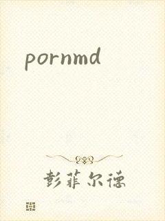 pornmd封面