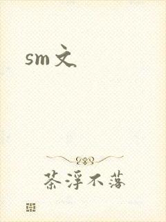 sm文