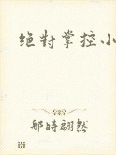 绝对掌控小说