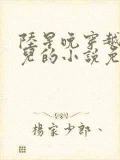 陆星晚穿越成婴儿的小说免费阅读全文封面