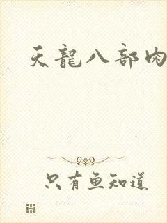 天龙八部肉集封面