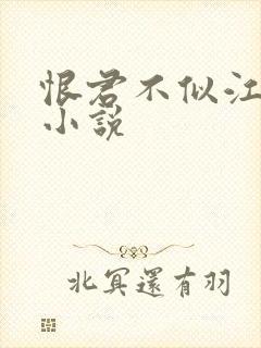 恨君不似江楼月小说