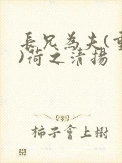 长兄为夫(重生)荷之清扬
