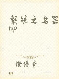 系统之名器攻略np封面